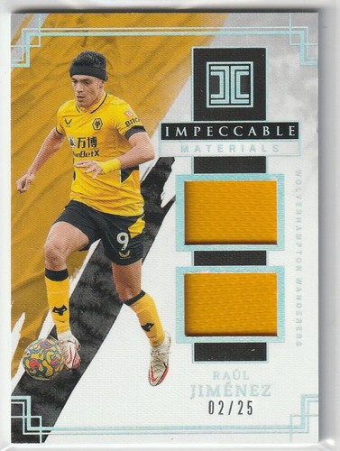 Panini impeccable 2021 raul - panini,