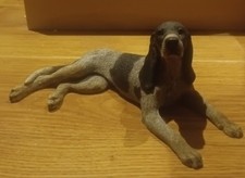 Castagna Bluetick Coonhound