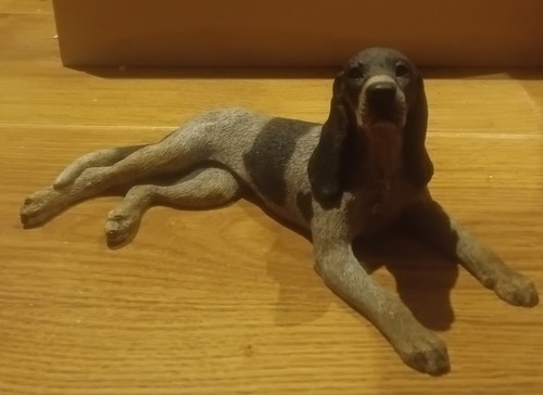 Castagna bluetick coonhound - castagna,