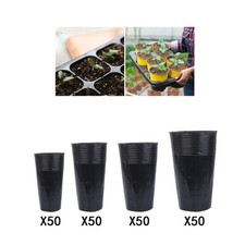 50 Units Nursery Cups for