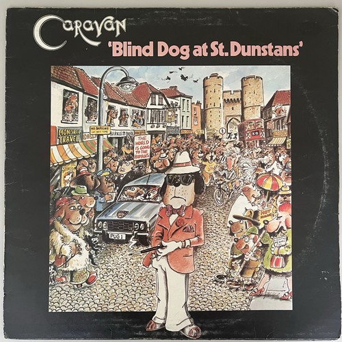 Caravan blind dog at - caravan, st