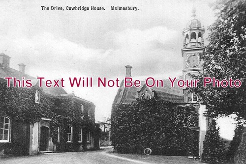 1133 the drive cowbridge - -,
