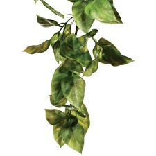 Exo Terra Reptile Vivarium Plastic Amapallo Plants Decor