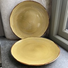 2 x  Dudson Harvest 10.5”