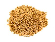 Yellow Mustard Seeds - 1kg