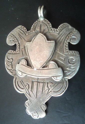 Early sterling silver cricket - silver,