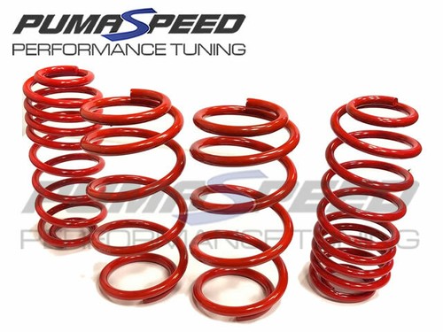 Pumaspeed stance lowering - stance,