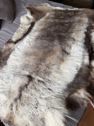Scandinavian reindeer hide rug - scandinavian,