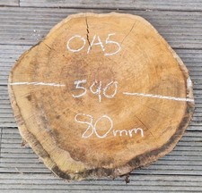 Oak Burr burl Cookie Slice