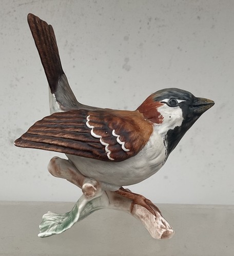 Beautiful goebel bird - beautiful,