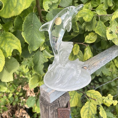 Glass fish cristal arques - glass,