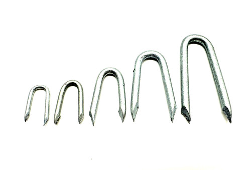 Galvanised staples nails - u,