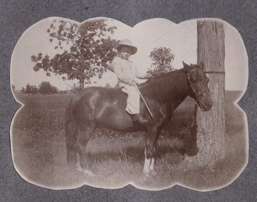 Vintage photograph boys horses - boys,