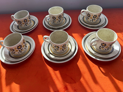 Biltons england piece cup - 6-piece,