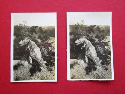 Cavanders pair large 1930 - pair,