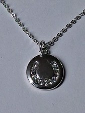 Equilibrium Horseshoe Coin