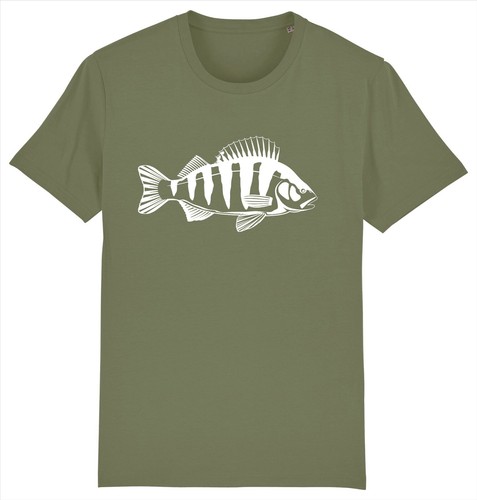 Perch fish fishing angler - perch,