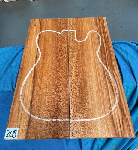 Lacewood guitar - (london, plane)