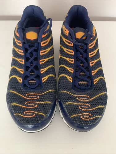 Nike air max plus - tn, blue