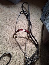 Minature Horse/Shetland  Show Halter with chain and lead 