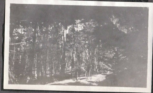Vintage photograph 1920 - vintage,