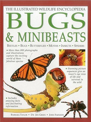 The illustrated wildlife - the,