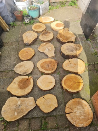 Joblot large log - large, dry