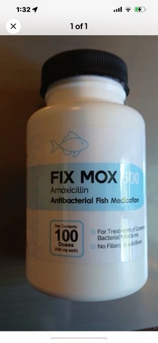 For fish aquariums - aquariums,