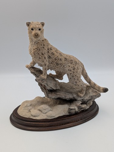Country artists snow leopard - snow,