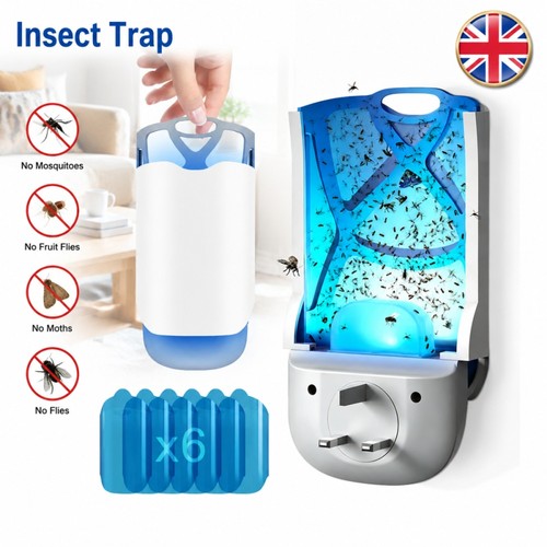 Fruit fly trap indoor - fruit, uv