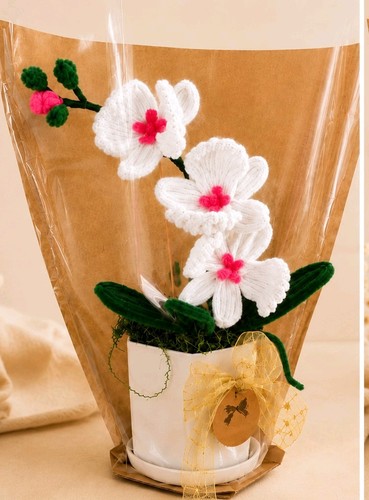 White orchid pot - in, –