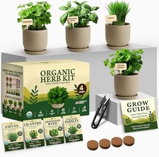 ORGANIC HERB KIT – Beginner