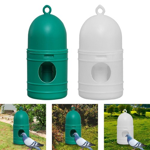 Parrot water dispenser pigeon - water,