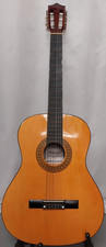 Herald Acoustic Guitar - Model