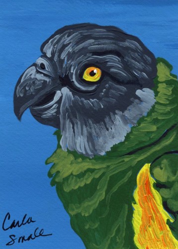 Aceo original painting - aceo,
