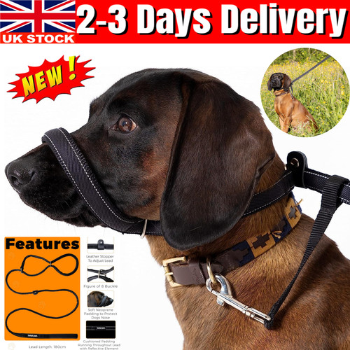 Padded head collar reflective - padded,