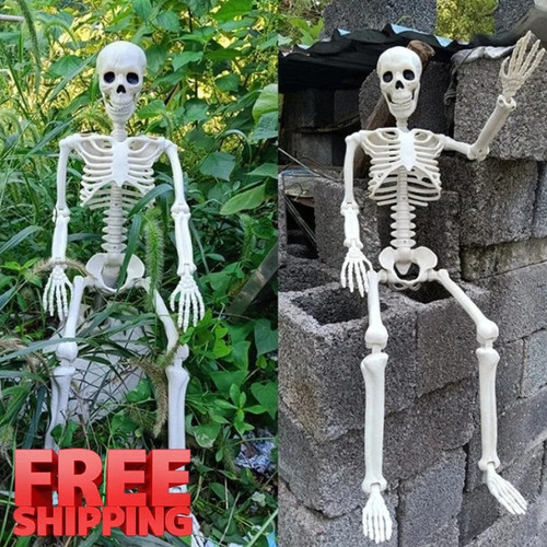 Giant life size human skeleton - size,