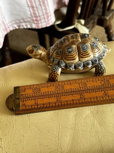 Wade lidded tortoise - tortoise, trinket