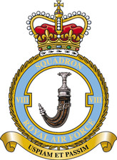 RAF 8 SQUADRON BADGE ON METAL