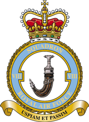 Raf squadron badge metal - 8,