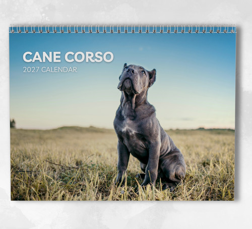 Cane corso calendar 2027 - corso,