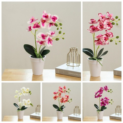Artificial orchid flower - orchid,