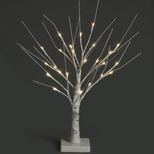 NETTA 2FT Twig Birch Tree with