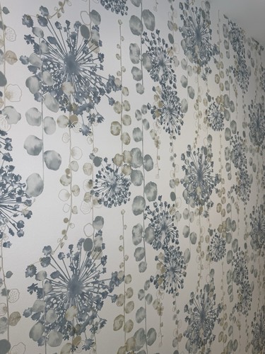 Harlequin wallpaper anthozoa - wallpaper,,