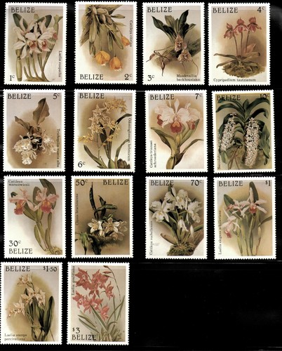 Belize 1988 flowers orchids - belize,