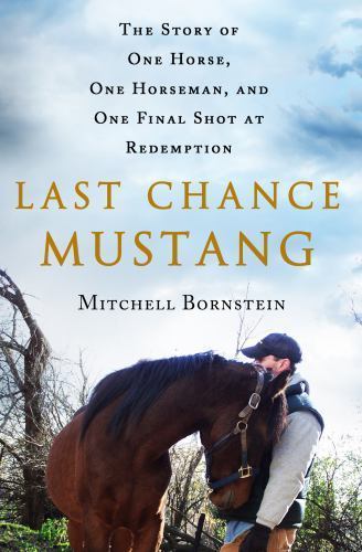 Last chance mustang - chance, the