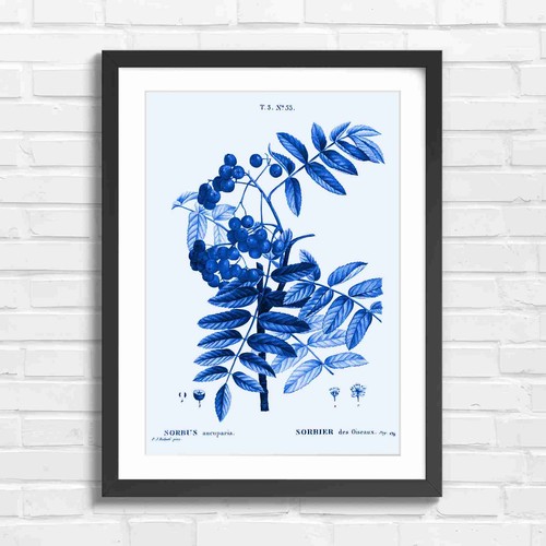 Vintage sorbus aucuparia - vintage,