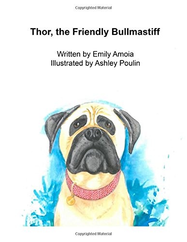 Thor the friendly bullmastiff - thor,,
