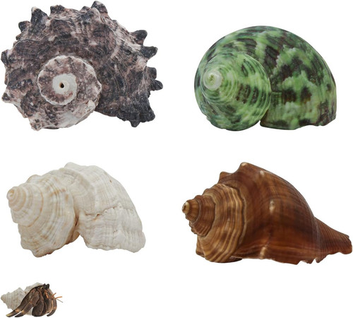 4pcs hermit crab shells - 4pcs,