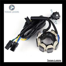 Stator for Honda CRF 250 / CRF